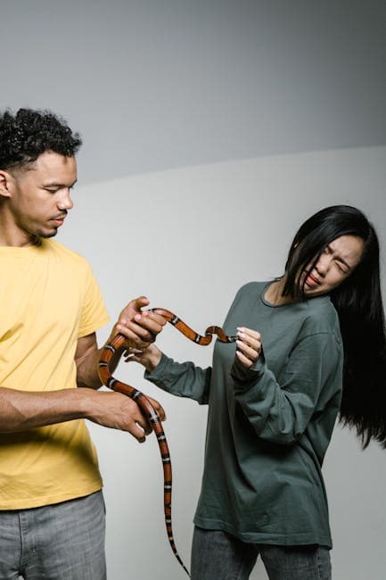 Psychology Basics: Exploring Human Behavior

