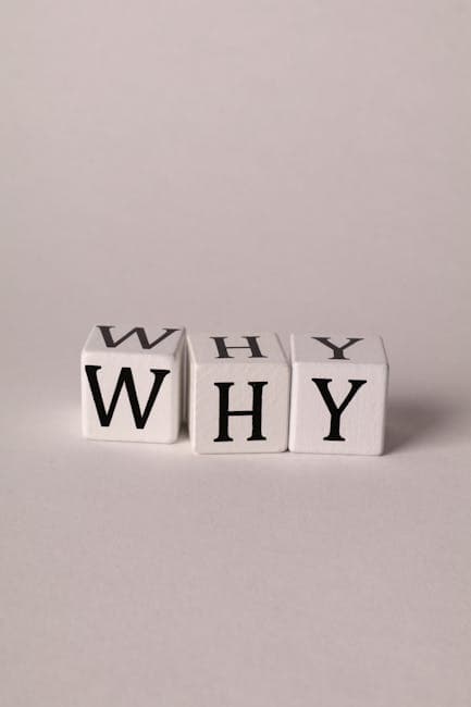 7 Essential Logical Fallacies Every Critical Thinker Must Avoid