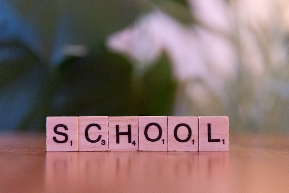 The Science Behind Memory: 7 Techniques Educators Must Know for Classroom Success
