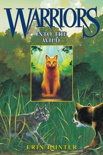 Into the Wild by Jon Krakauer