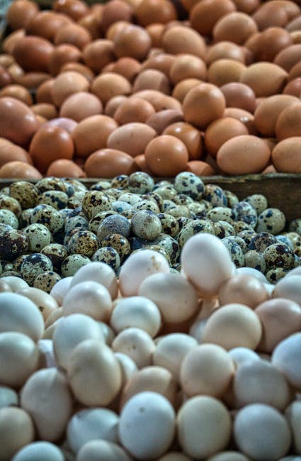 7 Essential Nutrients for Optimal Physical Health: What You’re Probably Missing in Your Diet